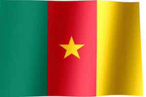 Flag_of_Cameroon